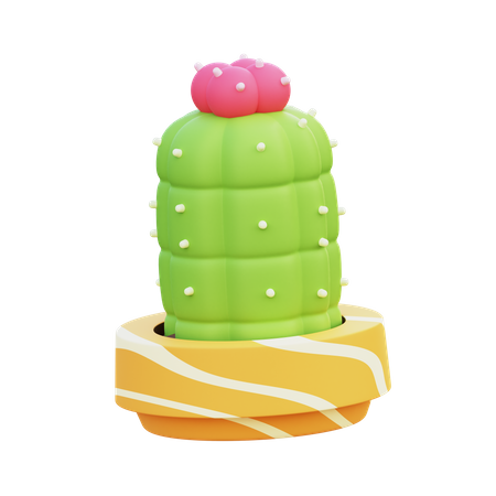 Pot de cactus lune  3D Icon