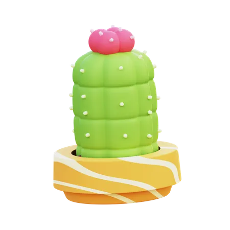 Pot de cactus lune  3D Icon