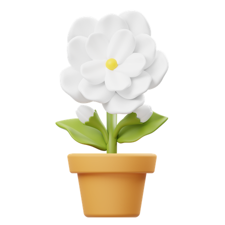 Pot de fleur de jasmin  3D Icon