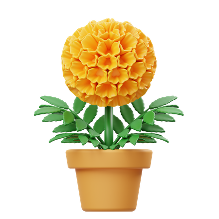 Pot de fleur de souci  3D Icon