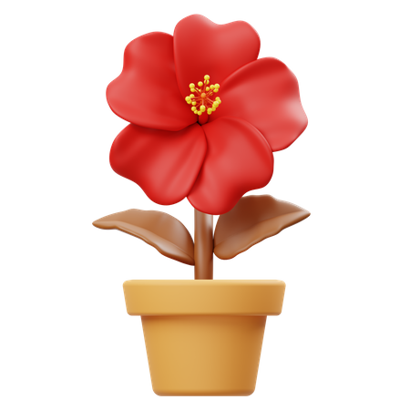 Pot de fleur d'hibiscus  3D Icon