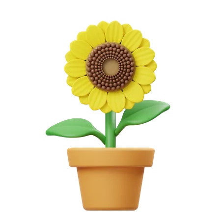 Pot de fleur de tournesol  3D Icon