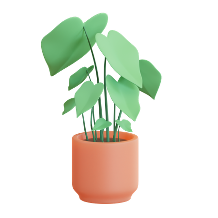 Pot de philodendron  3D Icon