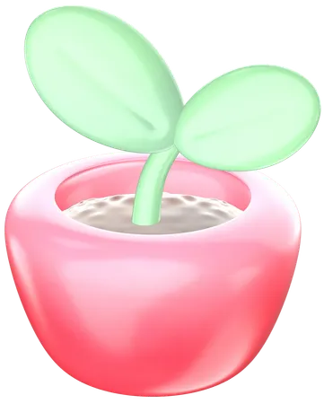 Pot  3D Icon