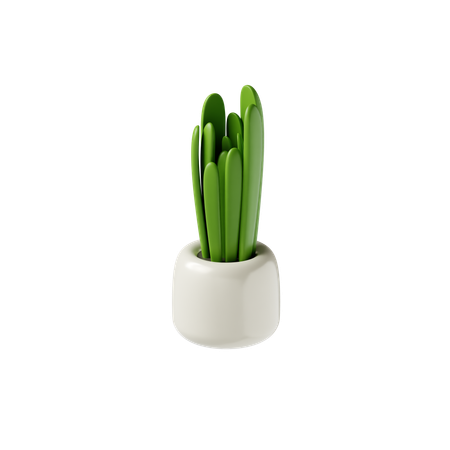 Pot  3D Icon