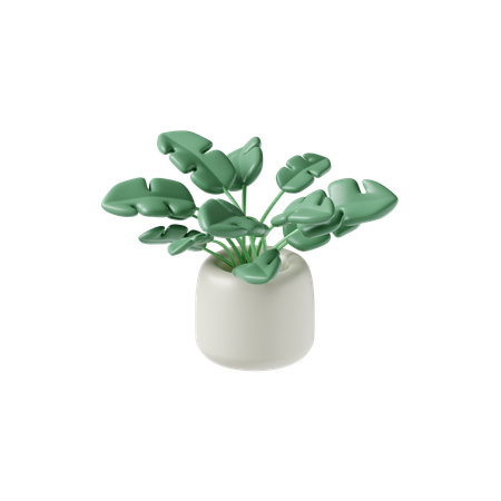 Pot  3D Icon