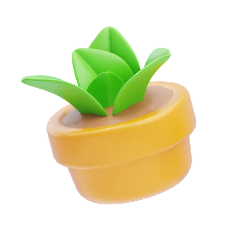 Pot  3D Icon