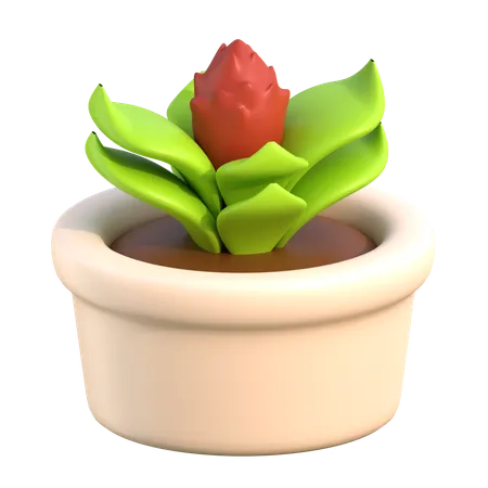 Pot  3D Icon