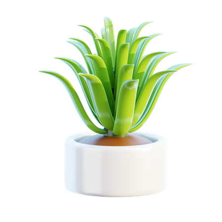 Pot  3D Icon