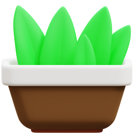 Pot  3D Icon