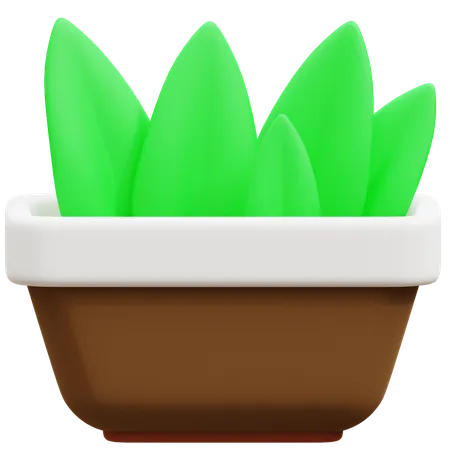 Pot  3D Icon