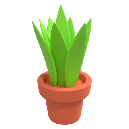 Pot  3D Illustration