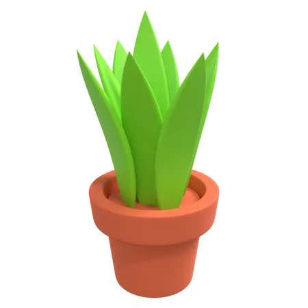 Pot  3D Illustration