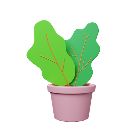 Pot  3D Illustration