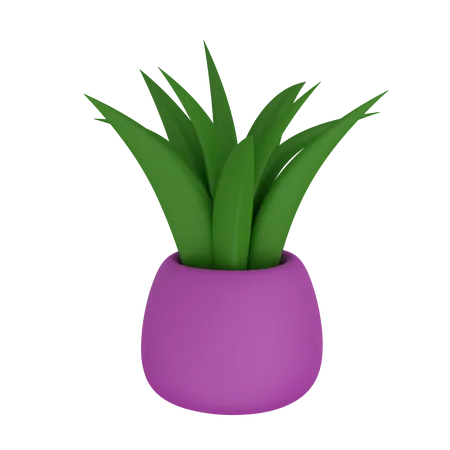Pot  3D Icon