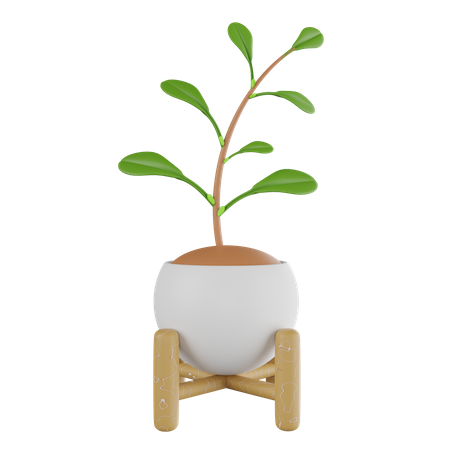 Pot  3D Icon