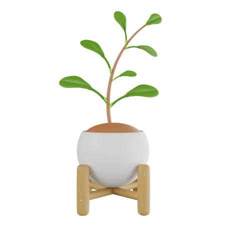 Pot  3D Icon