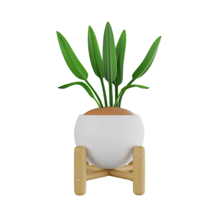 Pot  3D Icon