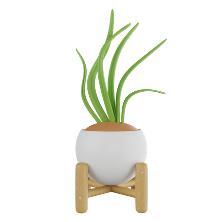 Pot  3D Icon