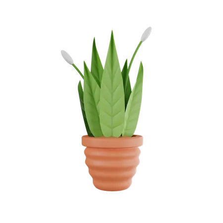 Pot  3D Icon