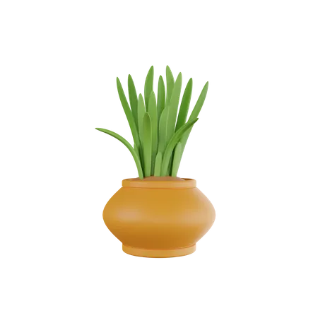 Pot  3D Icon