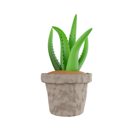 Pot  3D Icon