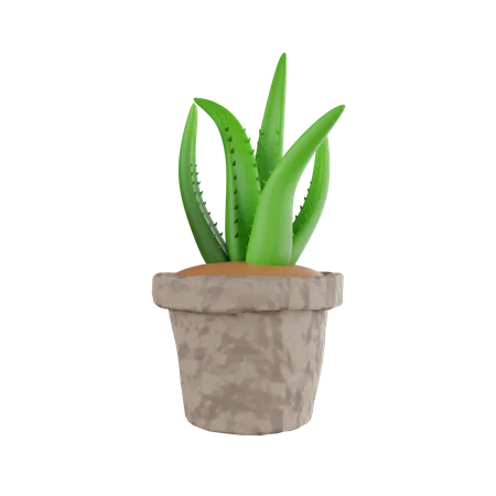 Pot  3D Icon