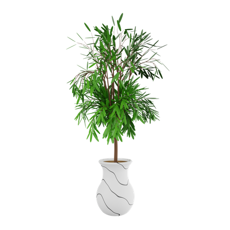 Pot  3D Icon