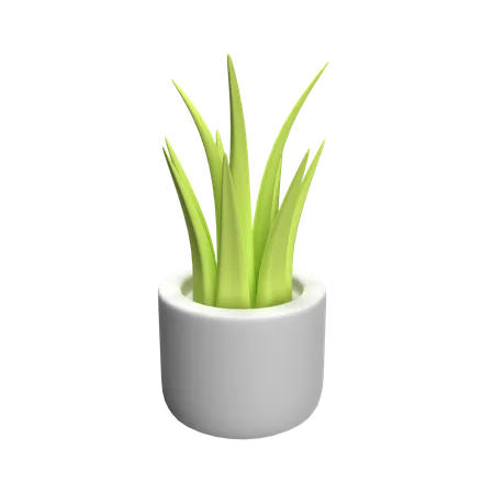 Pot  3D Icon