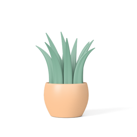 Pot  3D Icon