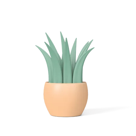 Pot  3D Icon