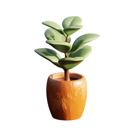 Pot  3D Icon