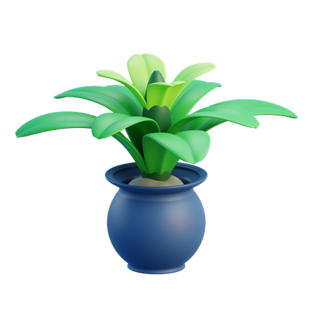 Pot  3D Icon