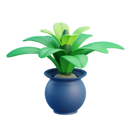 Pot  3D Icon