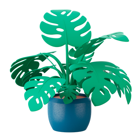 Pot  3D Icon