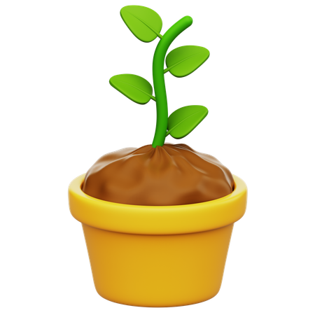 Pot Plant  3D Icon