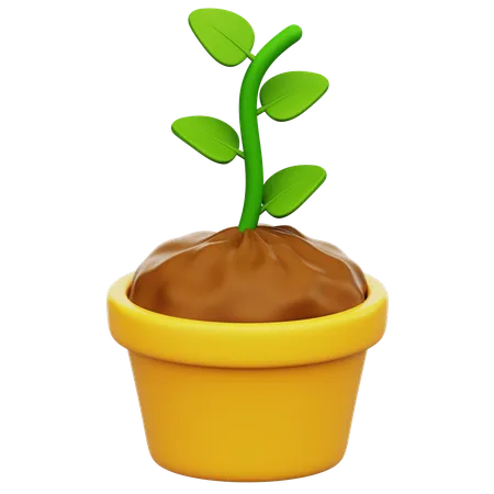 Pot Plant  3D Icon