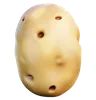 Potato