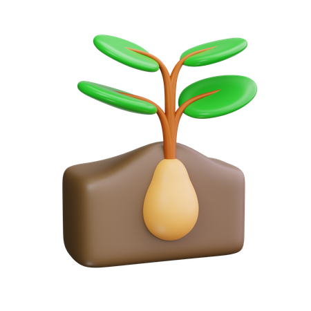 Potato Plant  3D Icon