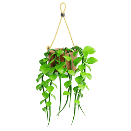 Pothos  3D Icon