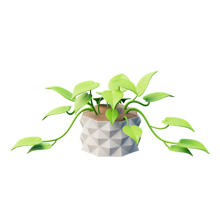 Pothos Plant  3D Icon