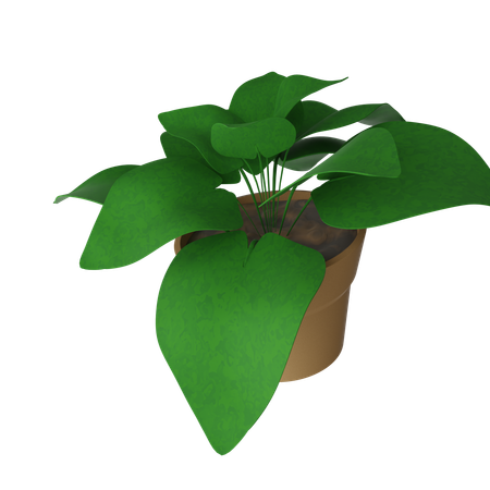 Pothos-Topf  3D Icon