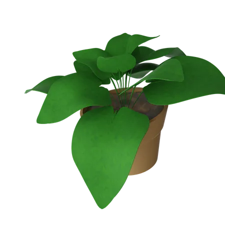 Pothos-Topf  3D Icon