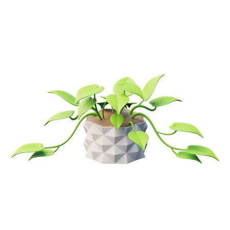 Planta de potos  3D Icon