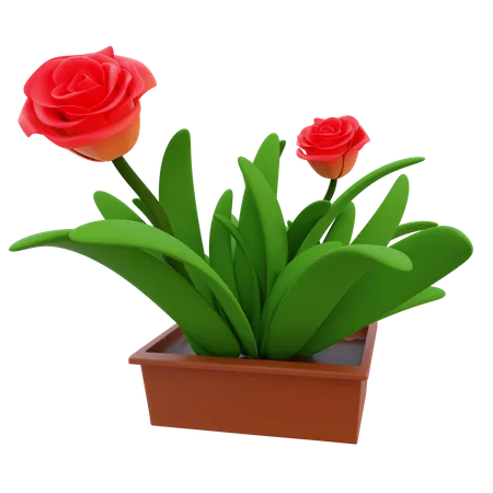 Potted Grass 3D Icon
