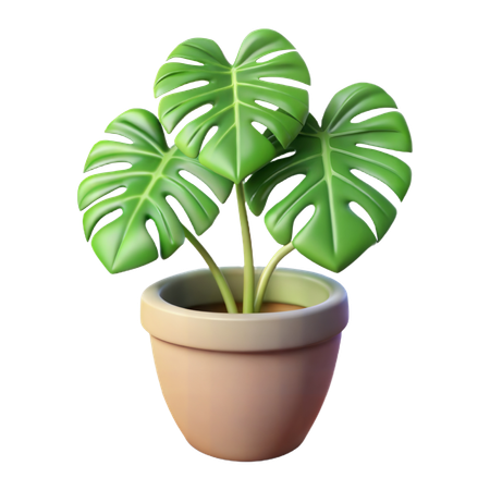 Potted Monstera Plant  3D Icon