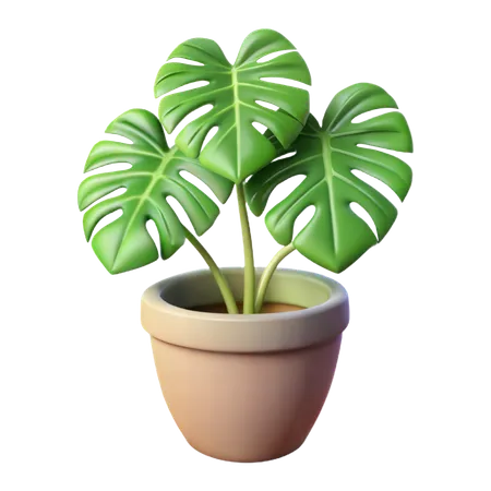 Potted Monstera Plant  3D Icon