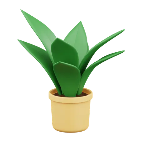 Potted Plant 3 D Icon Illustration 3D Icon