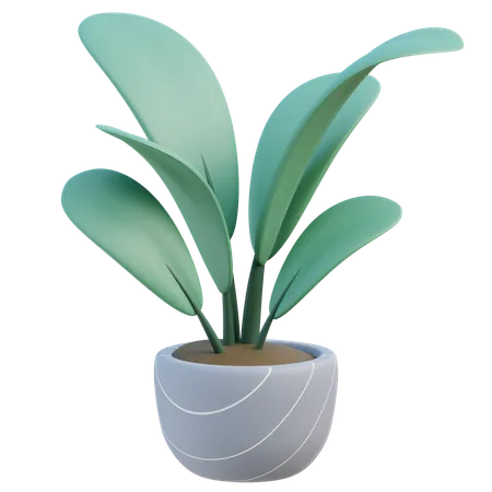 Potted Plant  3D Icon