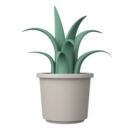 Potted Plant 3D Illustration